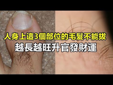 臉上長白毛是什麼意思|臉上長白毛是怎麼回事